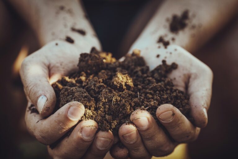 Navega en nuestro micrositio y conoce la caja de herramientas pedagógicas construida en el desarrollo del Proyecto IAPRE