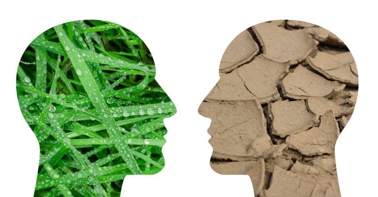 La afectación de los ecosistemas