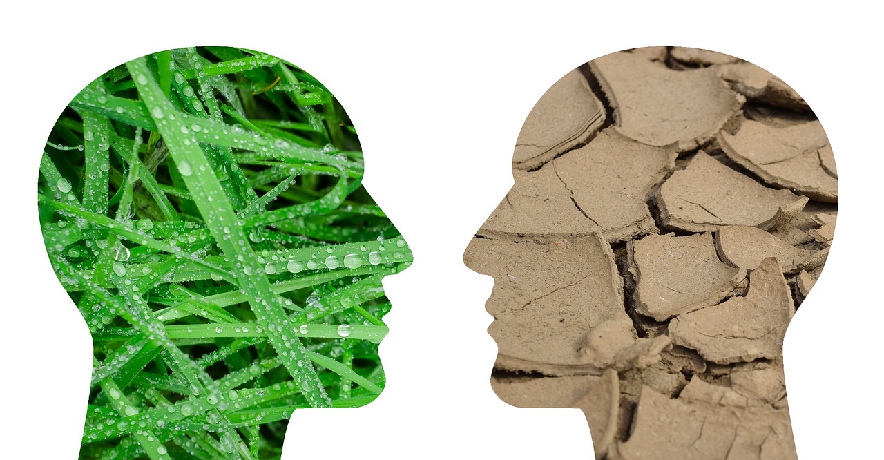 La afectación de los ecosistemas